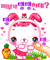 myspace layouts, myspace codes, glitter graphics