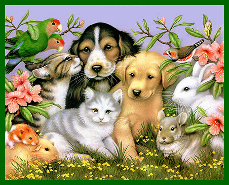 Animal Graphics Save Animals Clipart Abuse Animals I Love Animals Comments