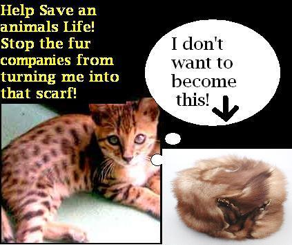 stop animal cruelty graphics for myspace