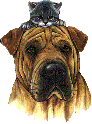 Family Cool Pets