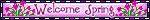 myspace layouts, myspace codes, glitter graphics