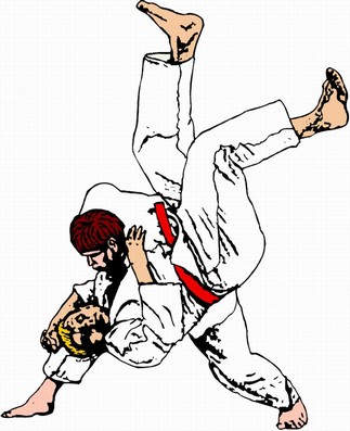 Cool Judo