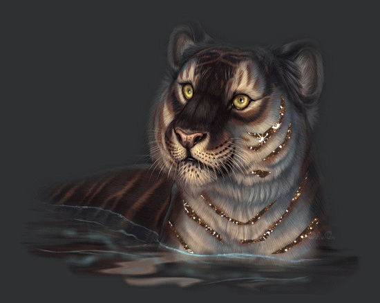 tigri glitter_9