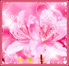 myspace layouts, myspace codes, glitter graphics