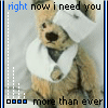 myspace layouts, myspace codes, glitter graphics