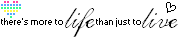 2039105qr88oll02m.png